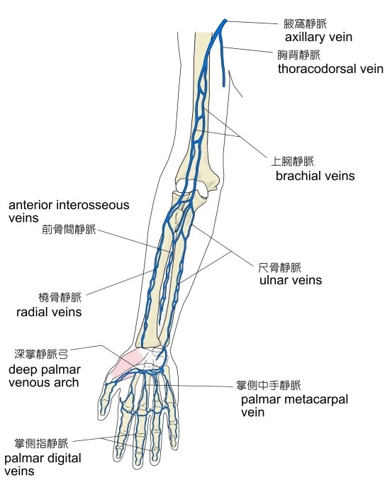正誤表・更新情報