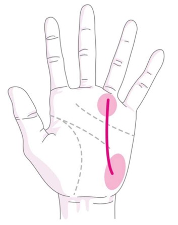 スターシードの手相14選！手相でわかるスターシードの才能を生かすヒント