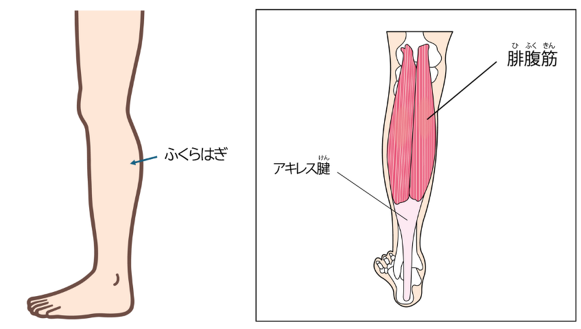 線維筋痛症せんいきんつうしょう とは済生会
