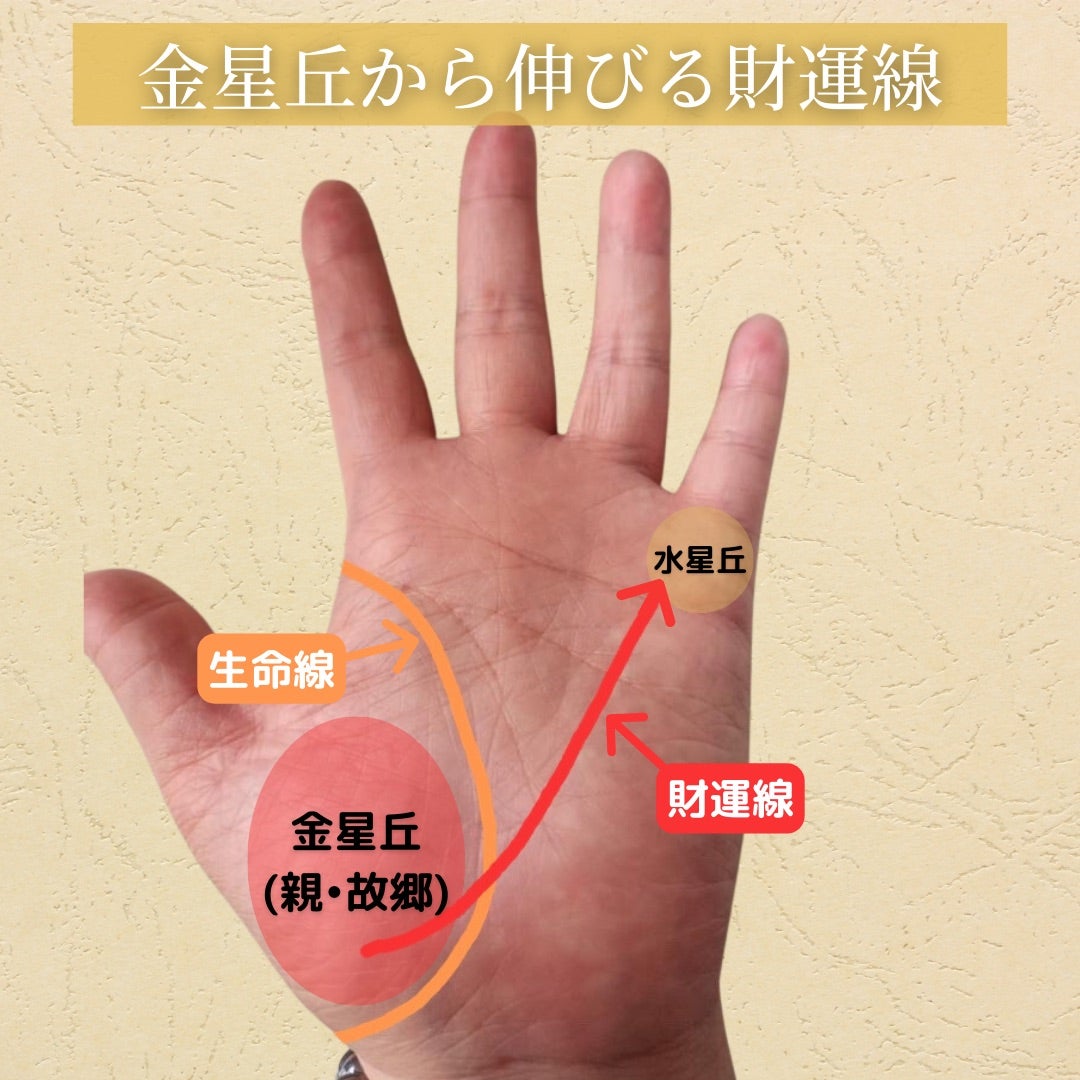 途切れた生命線の意味とは？」業界騒然の新解釈と話題！瀧川雅也さんに学ぶ手相の読み解き方3 3介護ポストセブン