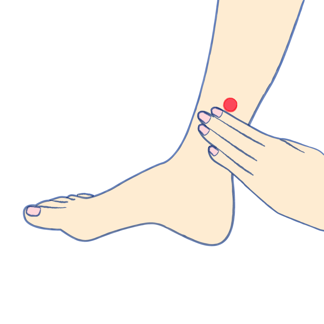 ツボ押し 陣痛を促進する：三陰交妊娠・出産・マタニティ情報サイト - ニンプス