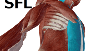 筋膜ラテラルライン治療院CSK四日市市小杉町
