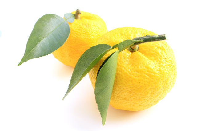 柚子の栄養素とは? 効果・効能や美味しい柚子の選び方も紹介マイナビニュース