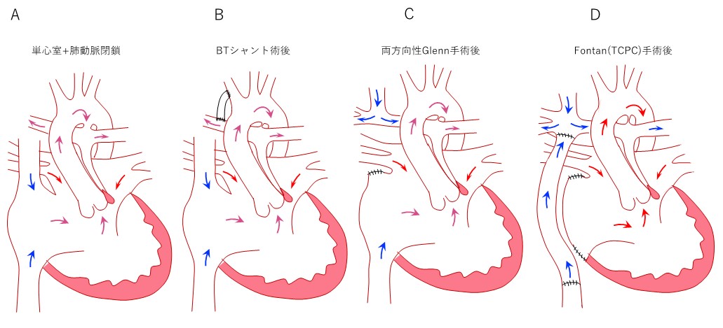 わかりやすい東洋医学の脾の働き東京都多摩市の整体 鍼灸 ユナイテッド治療院 自律神経不調専門治療院