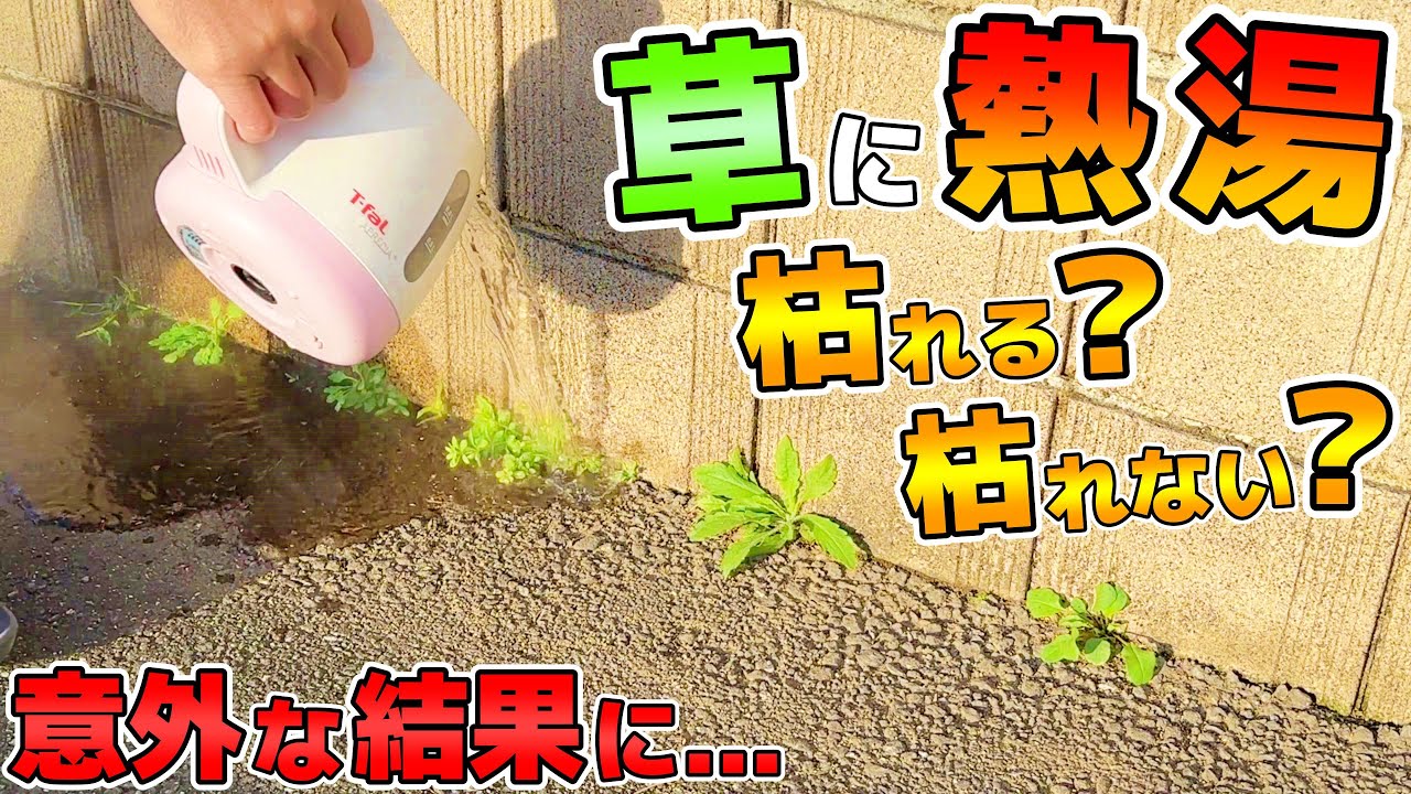 雑草対策として熱湯かける除草は効果あり？デメリットや適温など詳細まとめ全国ガーデン情報サイト「お庭の窓口」