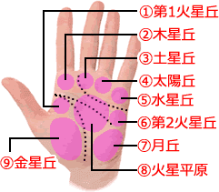 手相にある9つの丘とは？ 手の膨らみの意味と見方を人気占い師が教えます！Oggi.jp