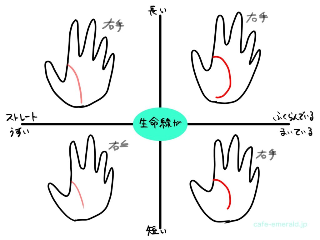手相から見えるあなたのタイプ：頭脳型と行動型