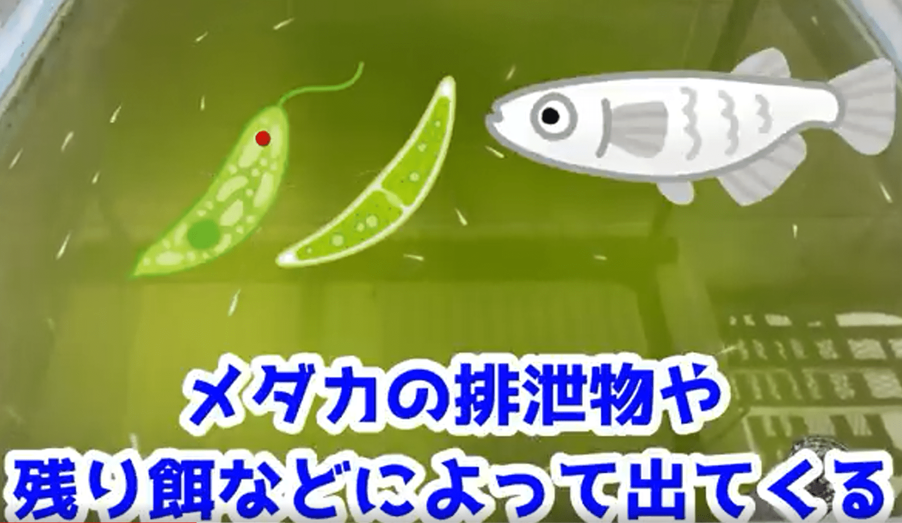 アンモニアイラスト無料イラスト・フリー素材なら「イラストAC」