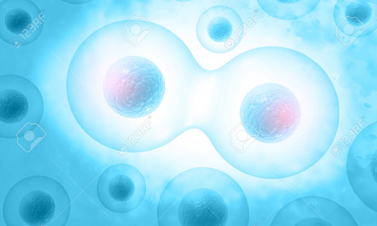 365 細胞 分裂 Stock Photos, High-Res Pictures, and Images - Getty Images細胞分裂,Dna, 人体