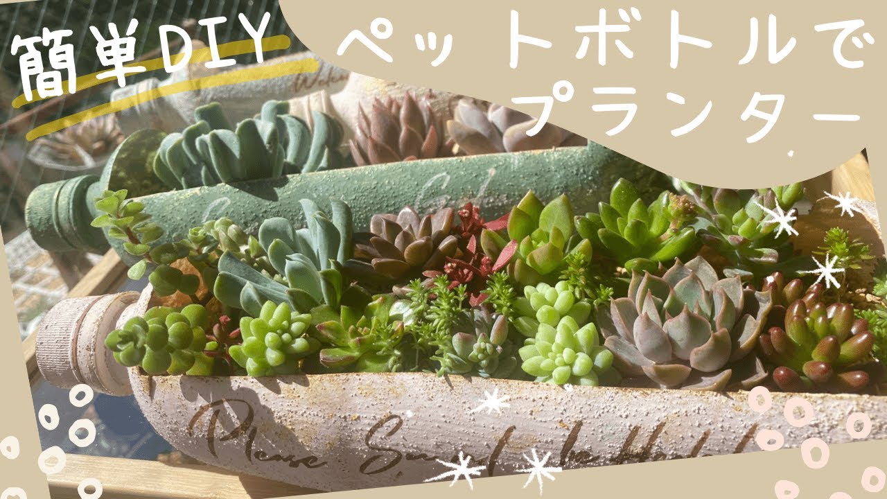 自作のペットボトル水耕栽培 基本の作り方・育て方とおすすめ野菜まりもの暮らし