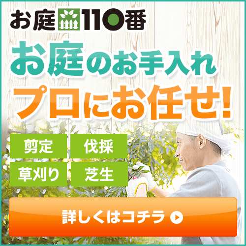 ダイソーで簡単！重曹とクエン酸で雑草対策TikTok
