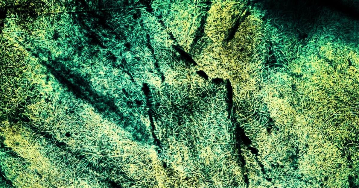 有機的なつながりの奥底〜速くまっすぐ遠くへ。ゆっくりしなやかに近くへ〜Makoto Shirasu