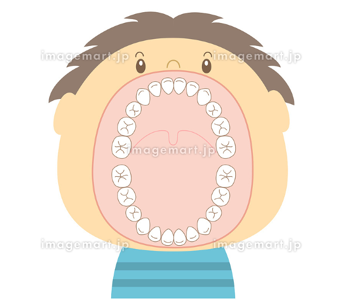 歯科口腔外科」カテゴリのイラスト🎨 フリー素材 看護roo! カンゴルー