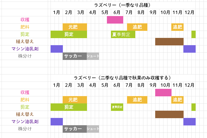 枯らさない！ラズベリー 鉢植えの育て方茅田が育てるブログ