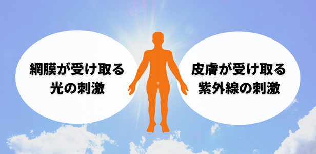 今日はお散歩日和。さあ、太陽と友達になろう！ part.1 日焼けはしたくない。でも太陽の光を浴びるメリットとは？FUDGE.jp