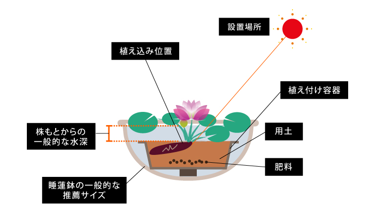 ベランダで「モネの箱庭」をつくる モネの作品を味わうための「スイレン」ガイドサライ.jp小学館の雑誌『サライ』公式サイト