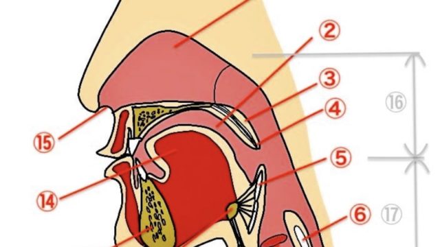 指定第2類医薬品 テトラ・コーチゾン軟膏 10gウエルシアドットコム