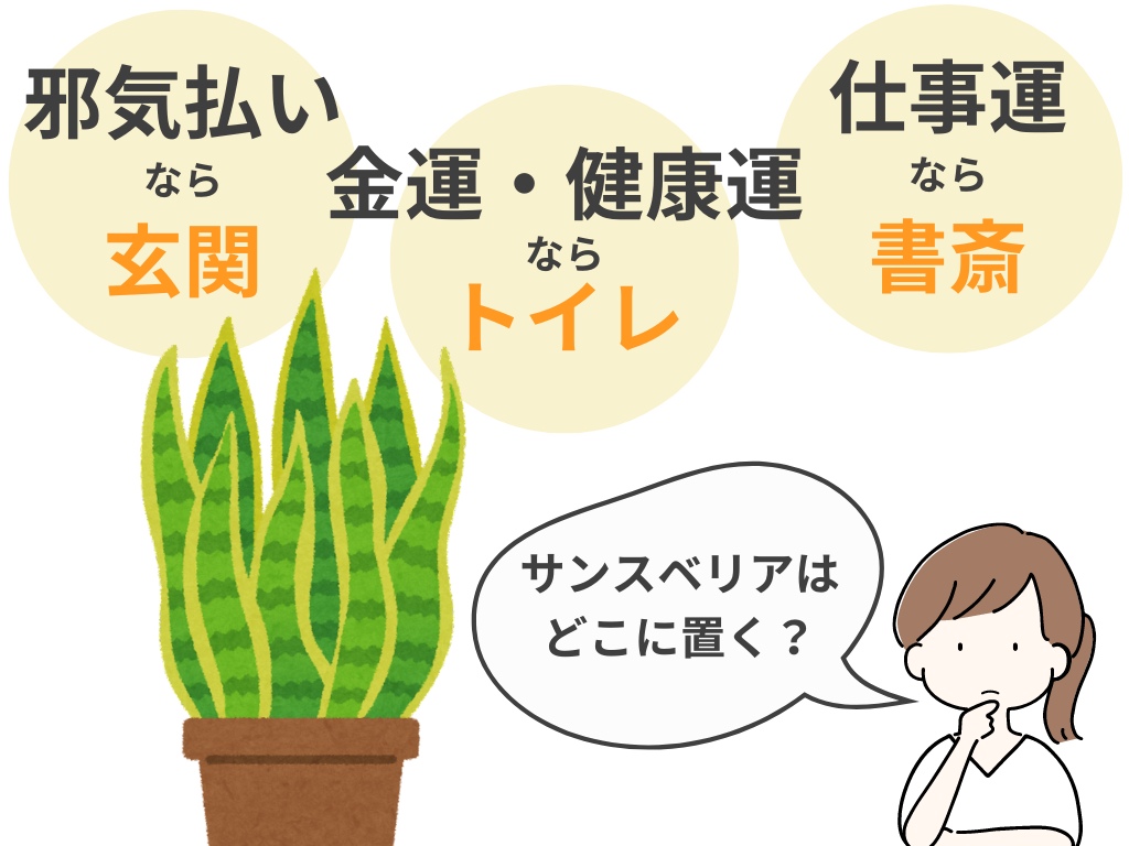 サンスベリア トラノオ の育て方初心者向け品種選び・水耕栽培・風水効果まで徹底解説