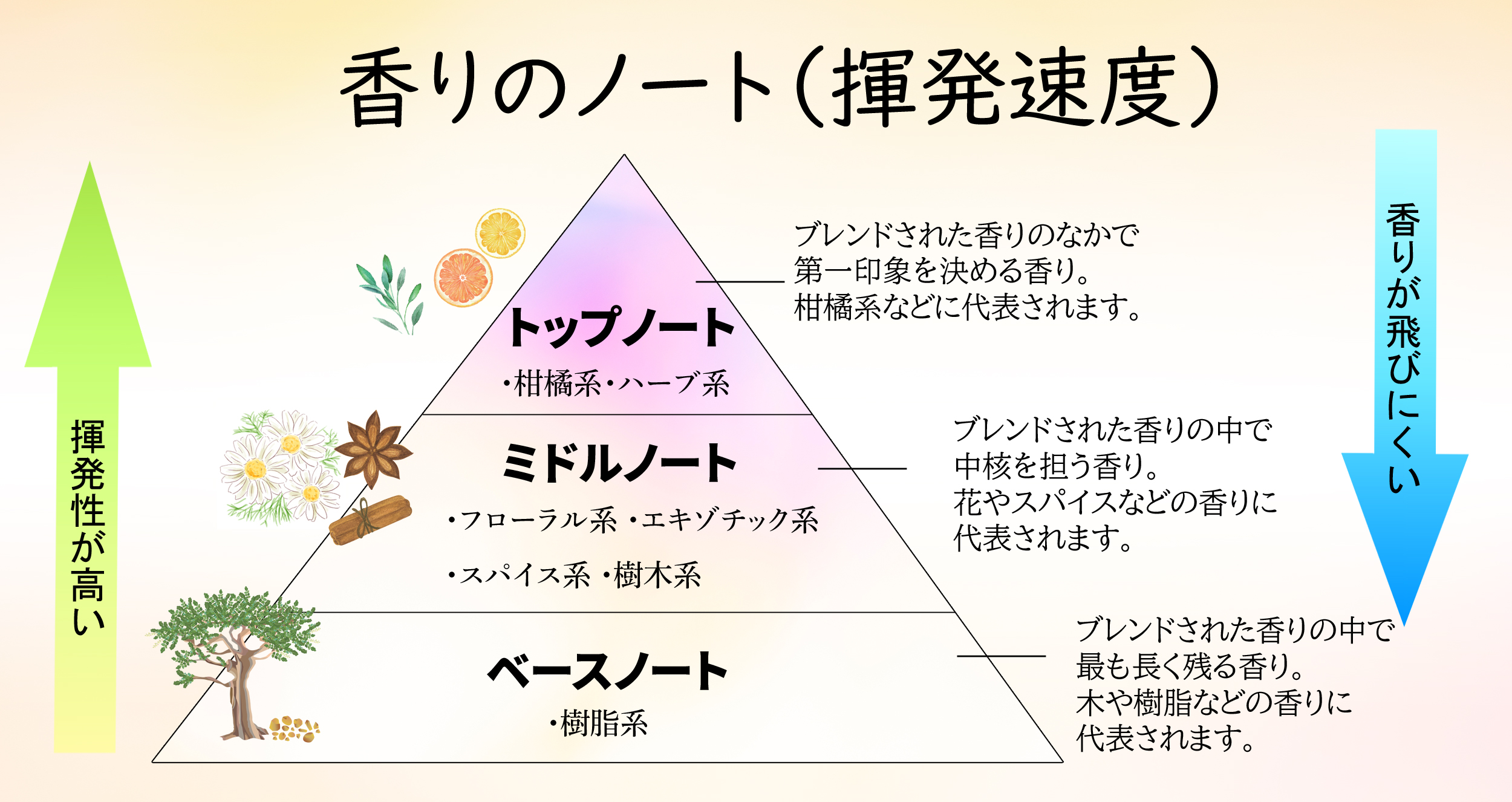 香りの種類とは？～わかりやすい分類と一覧～味覚ステーション