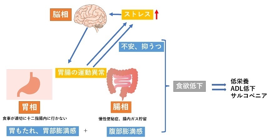 慢性期医療協会会長監修 高齢者に多い病気を患者数順にランキングで紹介みんなの介護