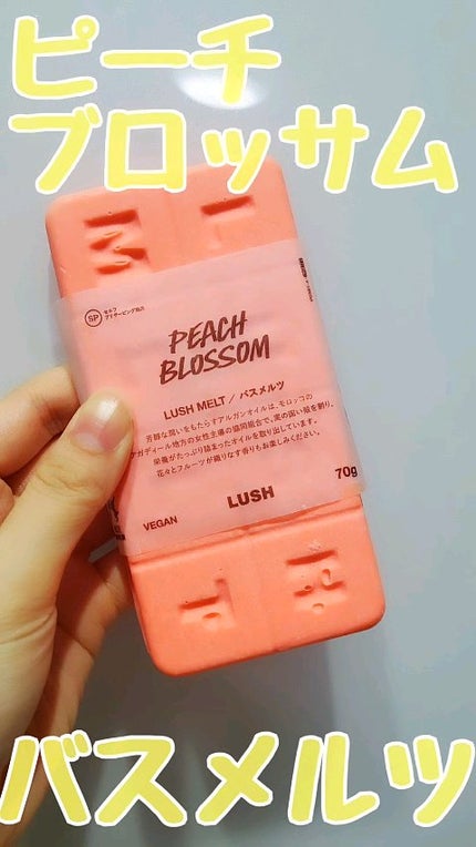 ホリデーコレクション第1弾が登場。フローラノーティスが紡ぐ祝福の香り、