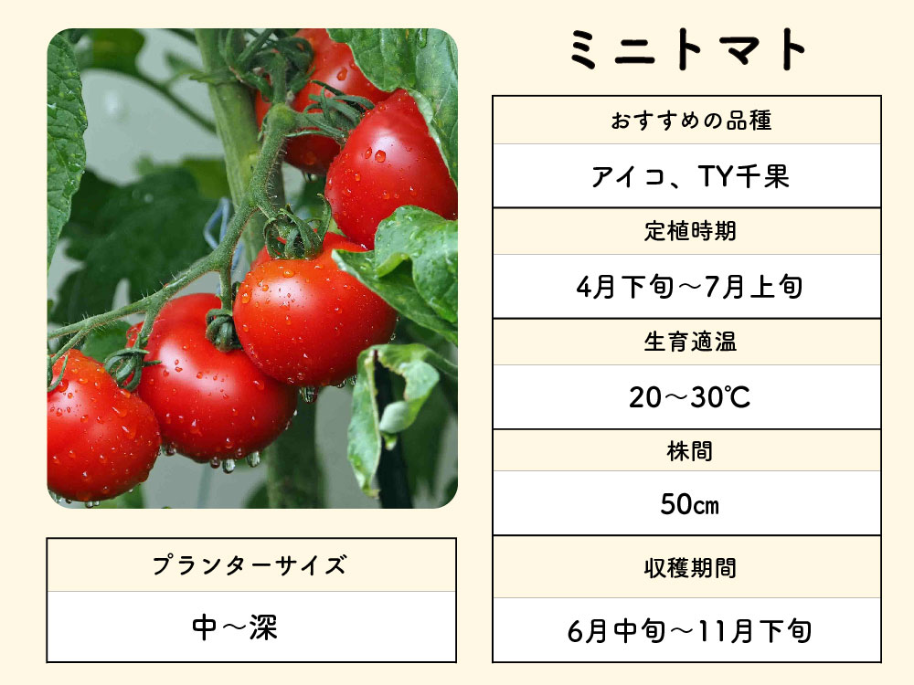 家庭菜園の本 はじめての野菜作りに！初心者も分かりやすい野菜作りの本のおすすめランキングわたしと、暮らし