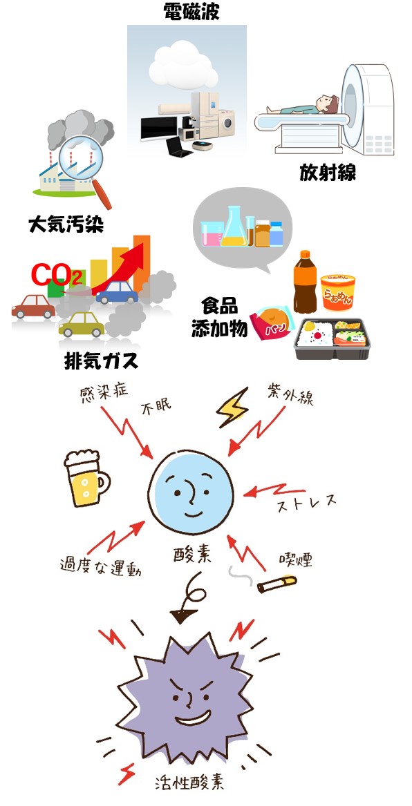 活性酸素のイラスト素材 - PIXTA