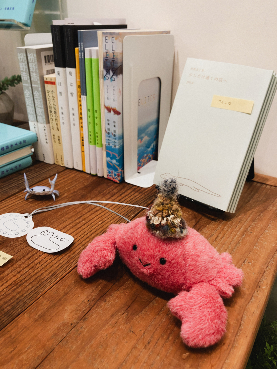 にゃんこ日記 🐾 相変わらずダンボールは人気スポット🟫 こんなに小さな箱でもぎゅうぎゅうに入ってます=ﾟωﾟ=ある意味シンデレラフィット？ナナの満足げな表情もかわいい😁ねこ 猫 にゃんこ ねこすたぐらむ にゃんすたぐらむ ねこ好き ねこちゃんホンポ 猫との