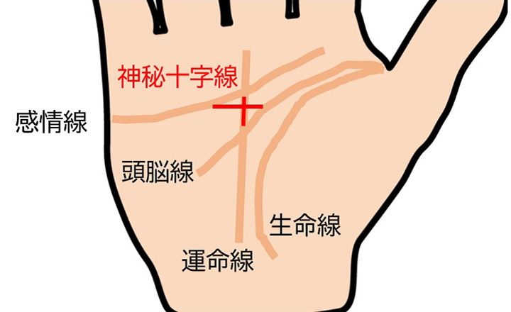手相🖐️ファティマの目が示す運命とは⁉️占い師 あゆみ