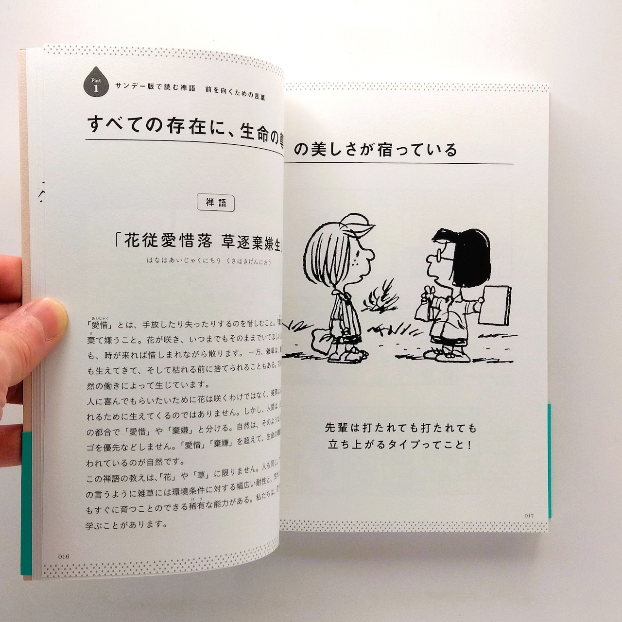 稀有」の意味とは？「稀有な存在」の使い方や類語などを解説Oggi.jp