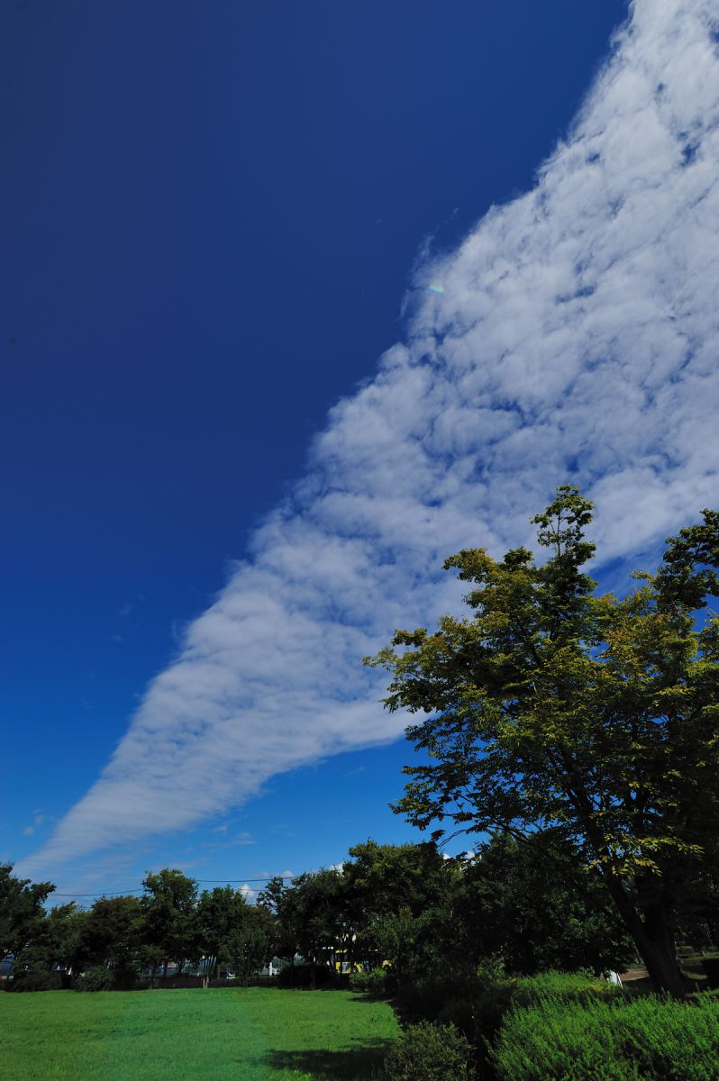 日向でも「夜光雲」 「地震雲かと思った」と観測者 - 日向経済新聞
