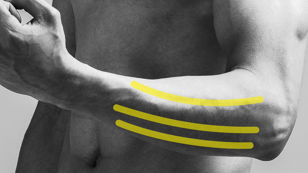 前腕の陰影」を強調する部位別・深彫りトレ