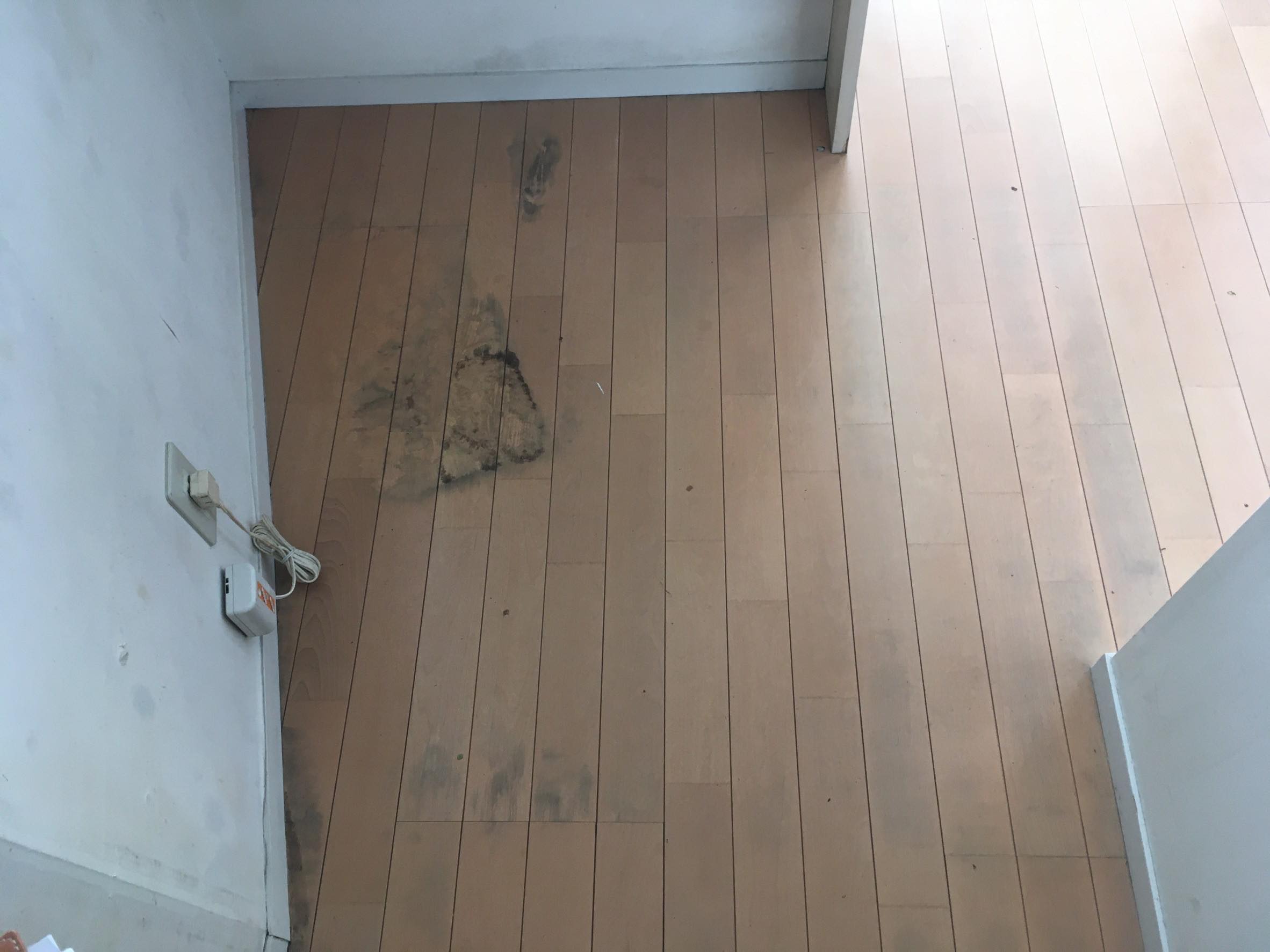 やってしまいがち？フローリングのカビ取りNG集HAGSハグス