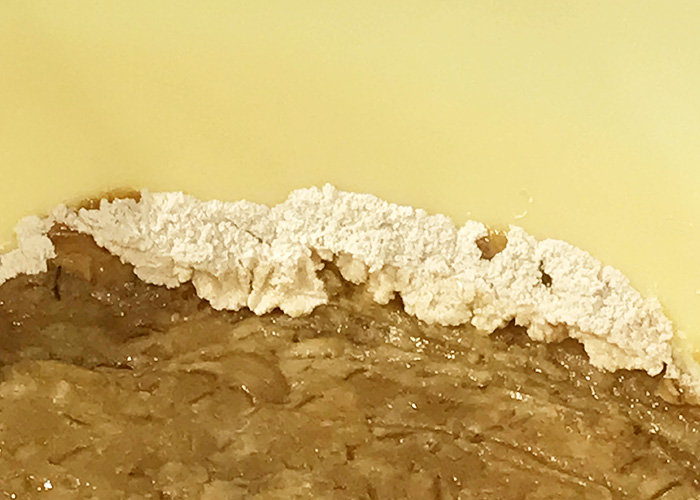 手作りみそ カビがはえたらどうすればいい？ - pal*system ヘルプ