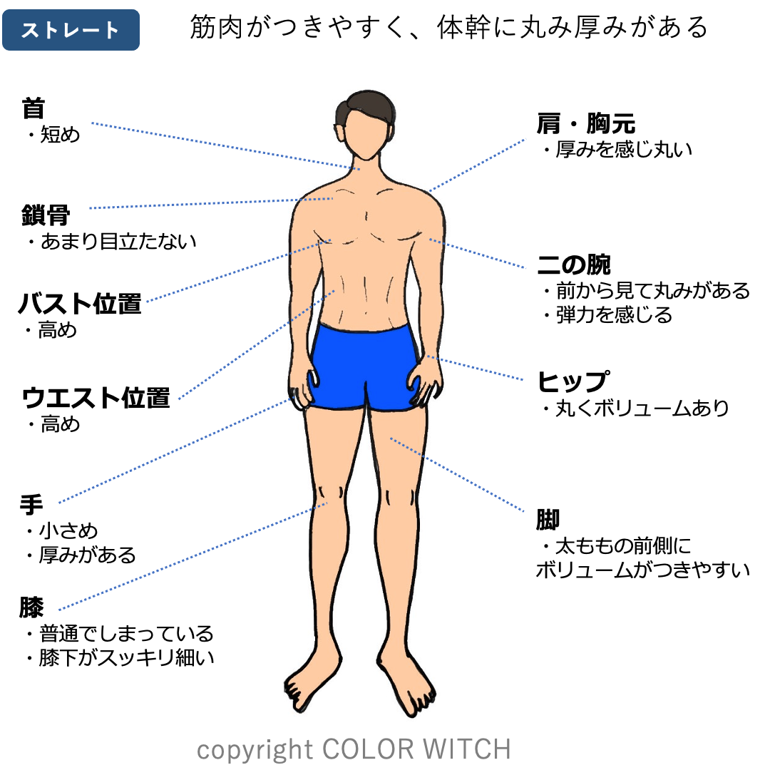 マッチョ体型のメンズにおすすめのTシャツ紹介！メンズファッション通販 MENZ-STYLE メンズスタイル