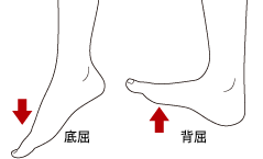 深部静脈血栓症 DVT の看護原因・症状・予防法ナース専科