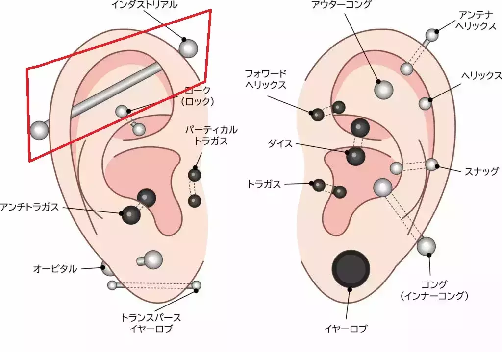 耳介軟骨移植￼メリット・デメリット・傷跡・10年後は？銀座の美容クリニックなら十仁美容整形銀座で80年超の歴史ある美容整形・美容外科