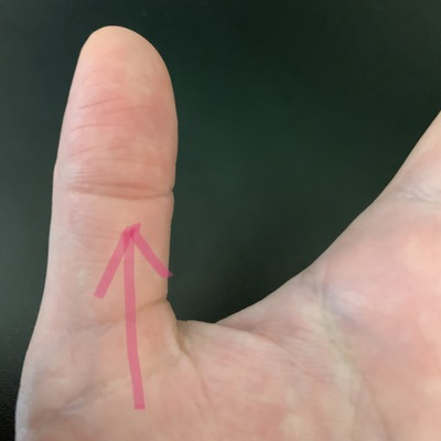 左手・右手の手相の意味！左手で見る仕事や結婚運などの手相占い -セキララゼクシィ