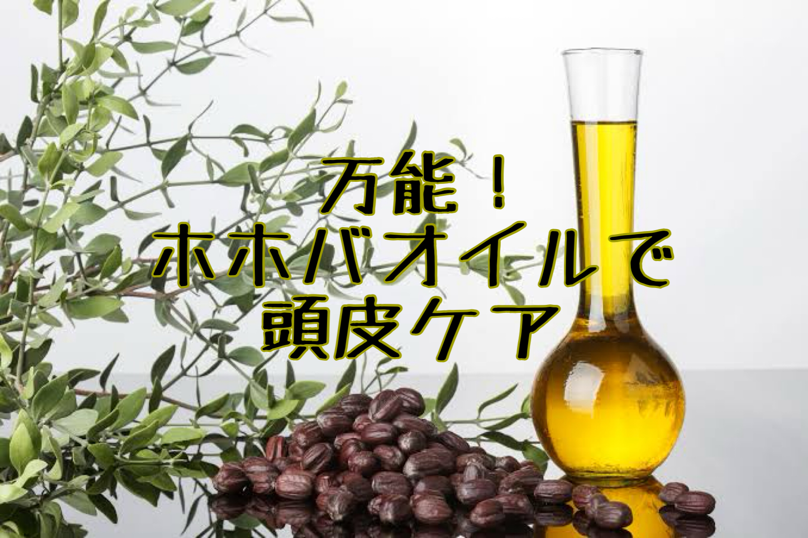 ホホバオイルは髪に良くない？エビデンスをもとに3つの効果を紹介薄毛対策ラボAGA管理アプリ HIX