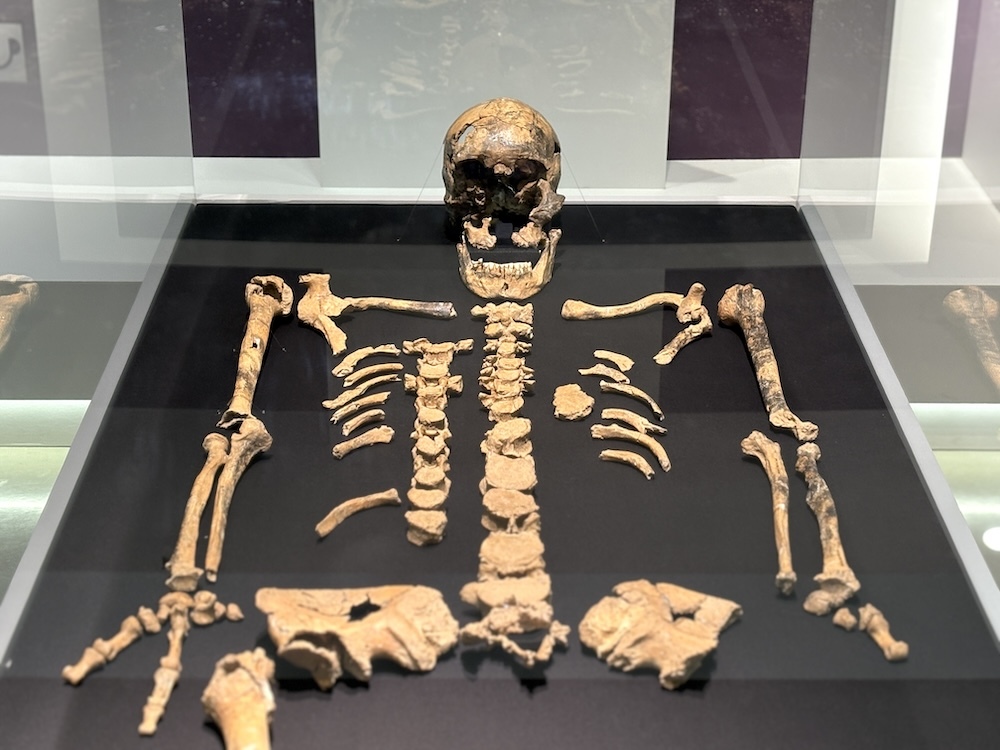 お江戸を拝見！国立科学博物館：お江戸の科学