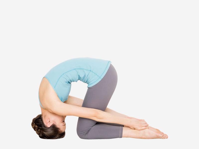 雌ライオンのポーズ4 3Dモデル $79 - .3ds .obj .c4d .ma .max - Free3D