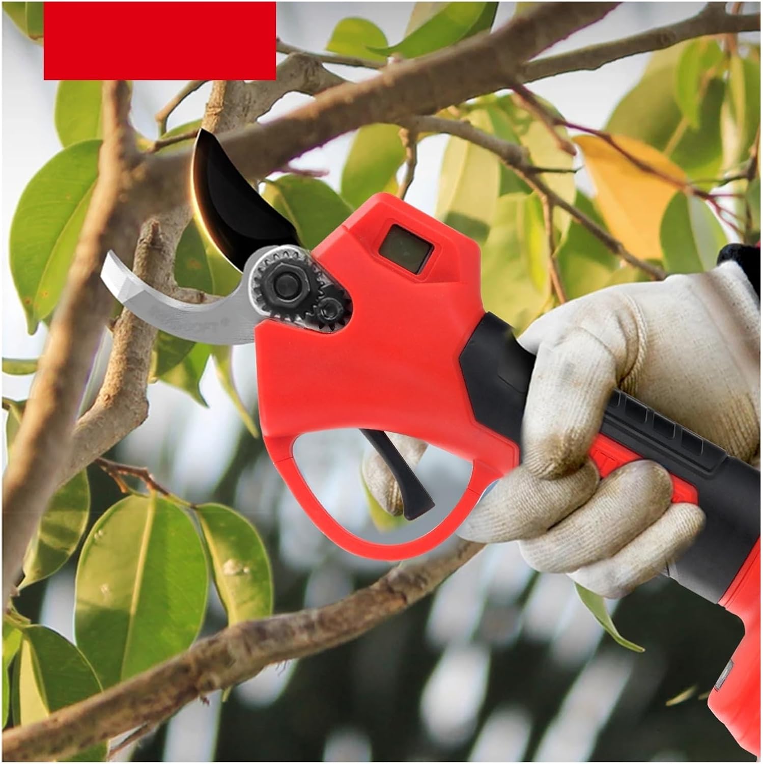 剪定ばさみ、ガーデン剪定鋏、はさみ、園芸、果樹用鋏、ガーデンツール、盆栽、ガーデニング、剪定ばさみ、接ぎ木ツール接ぎ木剪定ばさみ 植木用 果樹剪定 枝接ぎ 接ぎ木 グラフトナイフ 園芸 枝 トウ 盆栽 園芸 菜園 ガーデニングなど・ : shopparadise 接木