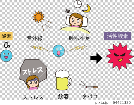 第59回 ビタミンについてさわやか内科クリニック