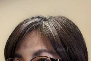 外出先や旅行先でも！伸びかけの白髪を速攻リセット クイック白髪かくしウィッグ『プチリタッチ』を発売 4月29日 月 より全国のスワニー byフォンテーヌ、 ルネ オブ パリス by フォンテーヌのショップで発売～5月初旬から公式通販サイトでも取り扱い開始※1～アデランス