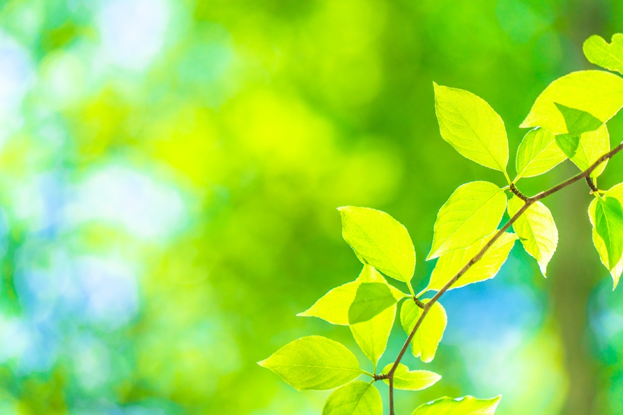 運気が上がる待ち受け スマホ壁紙×色風水🌈色が持つ意味と効果まとめ✨おすすめカラーで開運！🎨運気アップ効果の待ち受けハナプラおしゃれ・スマホ 壁紙・無料・運気・シンプル・かわいい・iPhone・高画質