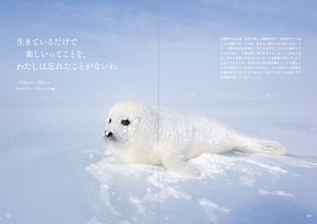 心に響く言葉・疲れた心を安らげる一言 おすすめ20選– Foo Tokyoフートウキョウ公式オンラインストア