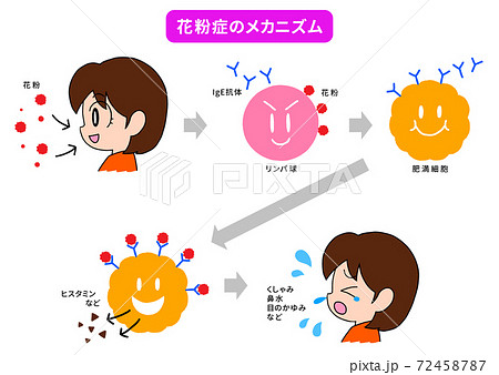 無料のモノクローナル抗体イラスト素材PNG・フリー 画像 - Pngtree
