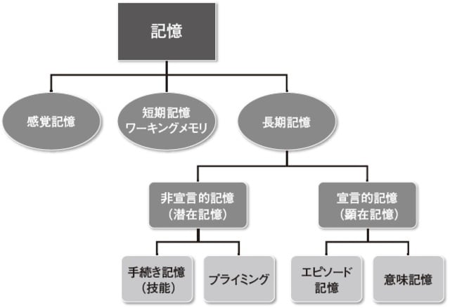 結晶性知能 ｢70歳まで伸び続ける知能｣があった 趣味などで脳を刺激 - 日本経済新聞
