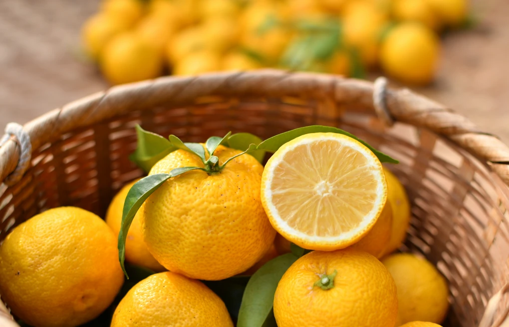 柚子の葉について』柚子の葉が添付の写真のように、色が抜けたようになってし- Yahoo!知恵袋