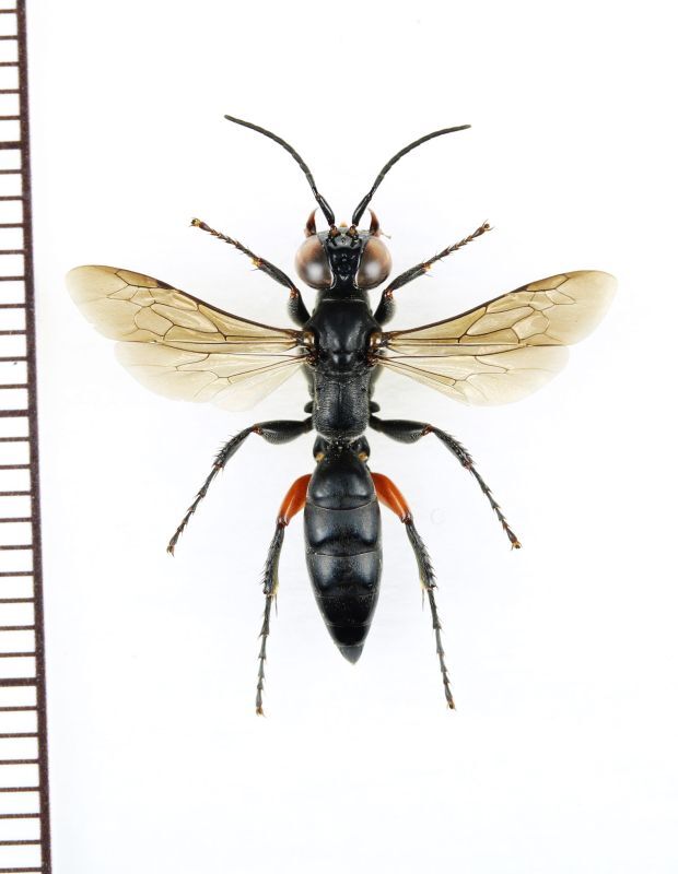 バチイケでビビった」人気配信者、旅先でのイケメン写真に「これは惚れる」「藤井風すぎる」反響antenna アンテナ